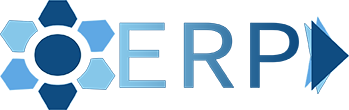 Egyedi ERP rendszer Logo